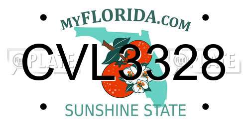 CVL3328 Florida License Plate