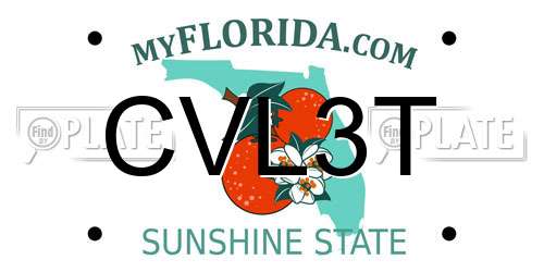 CVL3T Florida License Plate