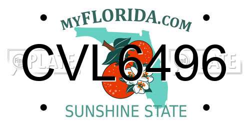 CVL6496 Florida License Plate