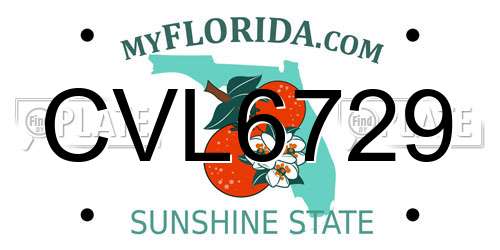 CVL6729 Florida License Plate