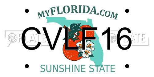 CVLF16 Florida License Plate