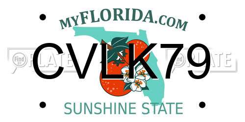 CVLK79 Florida License Plate
