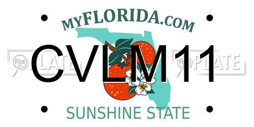 CVLM11 Florida License Plate
