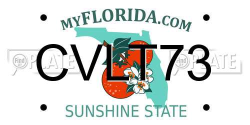 CVLT73 Florida License Plate
