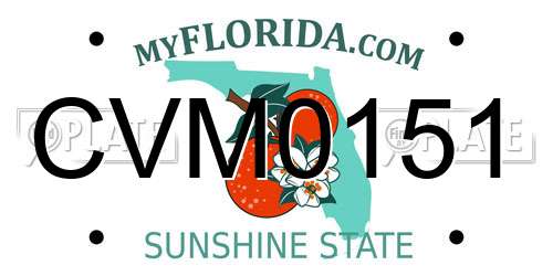 CVM0151 Florida License Plate