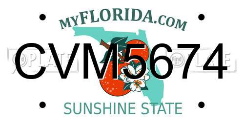 CVM5674 Florida License Plate