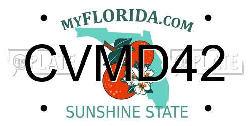 CVMD42 Florida License Plate