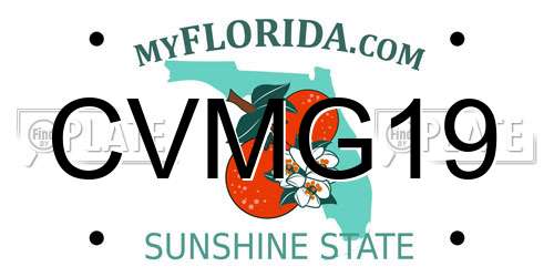 CVMG19 Florida License Plate
