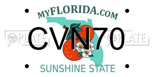 CVN70 Florida License Plate
