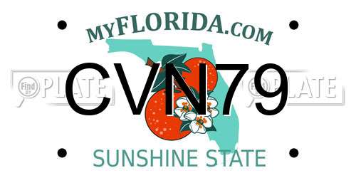 CVN79 Florida License Plate