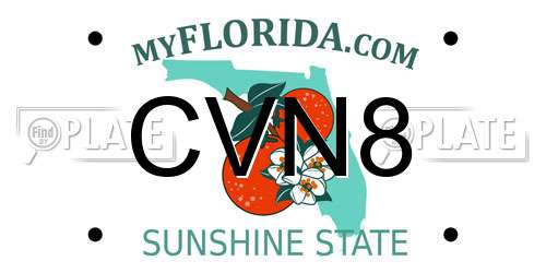 CVN8 Florida License Plate