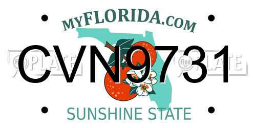 CVN9731 Florida License Plate