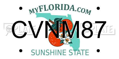 CVNM87 Florida License Plate