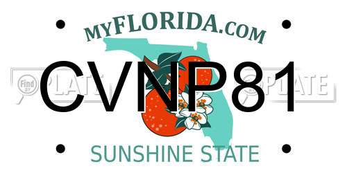 CVNP81 Florida License Plate