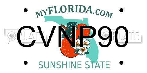 CVNP90 Florida License Plate