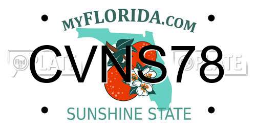 CVNS78 Florida License Plate