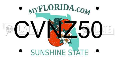 CVNZ50 Florida License Plate