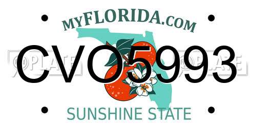 CVO5993 Florida License Plate