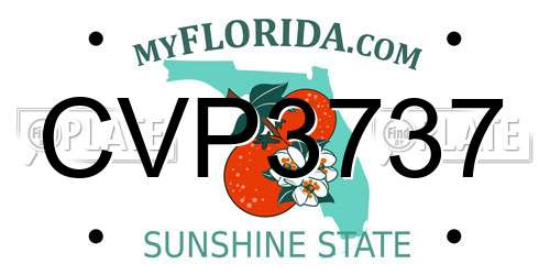 CVP3737 Florida License Plate