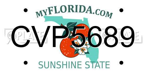 CVP5689 Florida License Plate