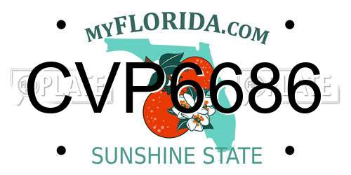 CVP6686 Florida License Plate