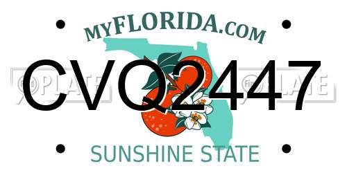 CVQ2447 Florida License Plate