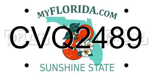 CVQ2489 Florida License Plate