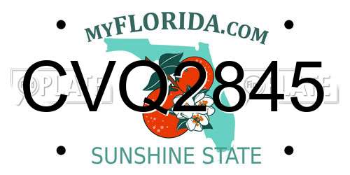 CVQ2845 Florida License Plate