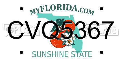 CVQ5367 Florida License Plate