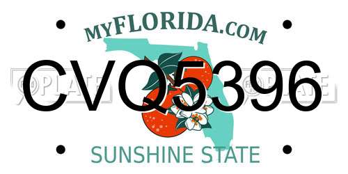 CVQ5396 Florida License Plate