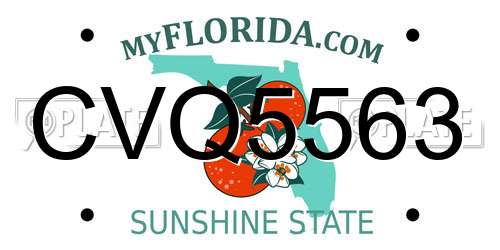 CVQ5563 Florida License Plate