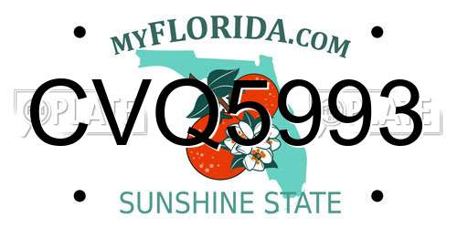 CVQ5993 Florida License Plate