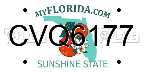 CVQ6177 Florida License Plate