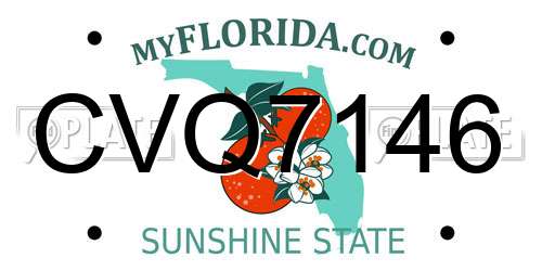 CVQ7146 Florida License Plate