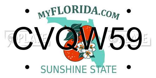 CVQW59 Florida License Plate