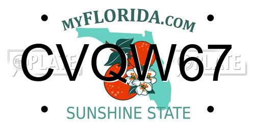 CVQW67 Florida License Plate
