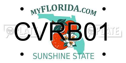CVRB01 Florida License Plate
