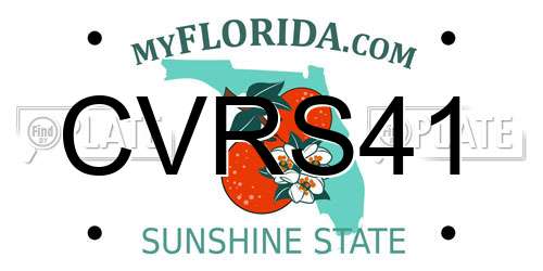 CVRS41 Florida License Plate