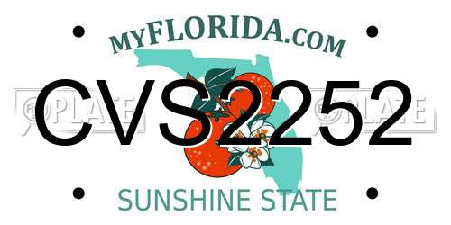 CVS2252 Florida License Plate