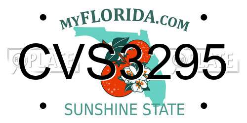 CVS3295 Florida License Plate