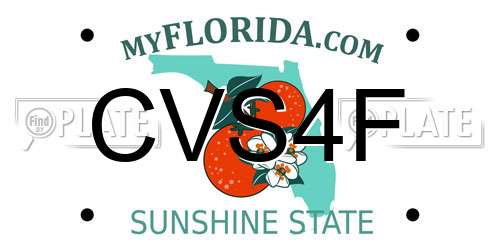 CVS4F Florida License Plate