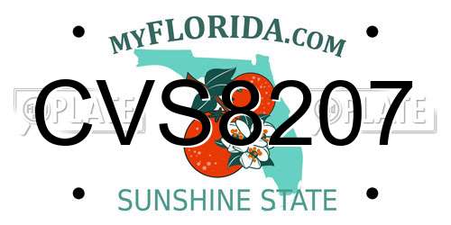 CVS8207 Florida License Plate