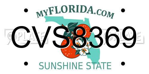 CVS8369 Florida License Plate