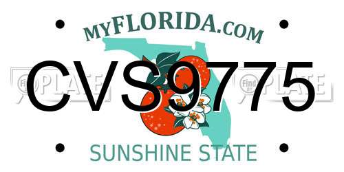 CVS9775 Florida License Plate