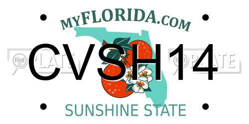 CVSH14 Florida License Plate