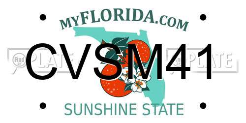 CVSM41 Florida License Plate