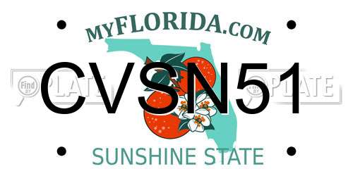 CVSN51 Florida License Plate
