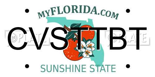CVSTTBT Florida License Plate