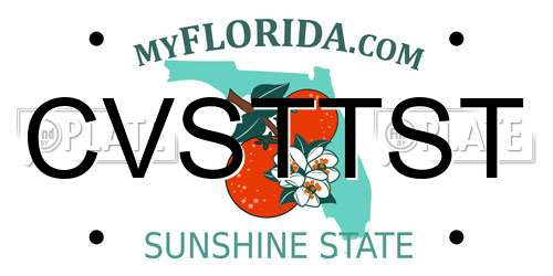 CVSTTST Florida License Plate