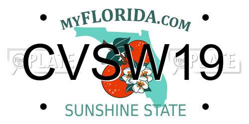 CVSW19 Florida License Plate